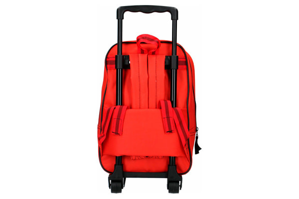 Als trolley en als rugzak te gebruiken